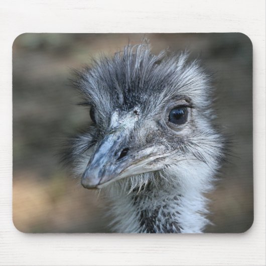 Amerikaans Rhea-portret Muismat (Voorkant)