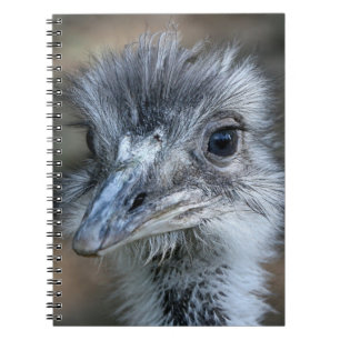 Amerikaans Rhea-portret Notitieboek