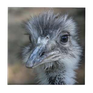 Amerikaans Rhea-portret Tegeltje