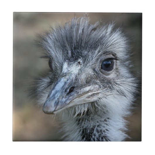 Amerikaans Rhea-portret Tegeltje (Voorkant)
