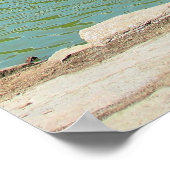 Amerikaans schilderij poster (Hoek)