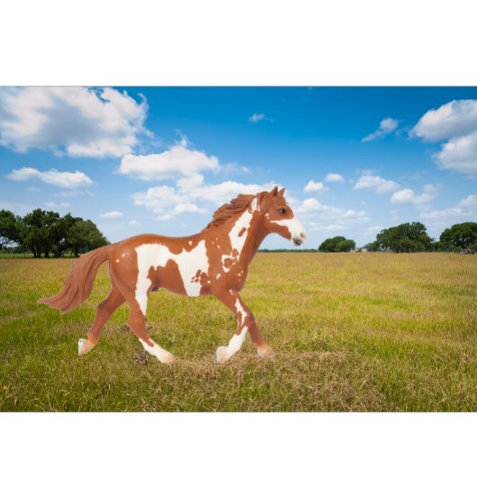 Amerikaans schilderpaard t-shirt