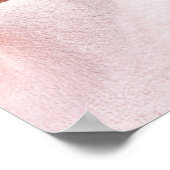 Amerikaans Shorthair Shorthair Slaap Poster (Hoek)