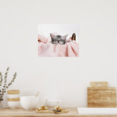 Amerikaans Shorthair Shorthair Slaap Poster (Keuken)