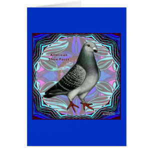 Amerikaans Show Racer