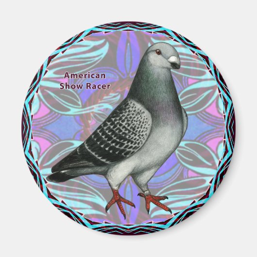 Amerikaans Show Racer Magneet (Voorkant)