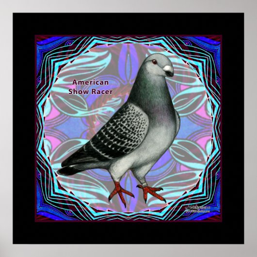 Amerikaans Show Racer Poster (Voorkant)