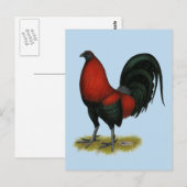 Amerikaans spel BB Zwarte Rode Haan Briefkaart (Voorkant / Achterkant)