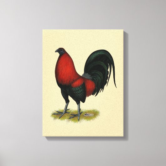Amerikaans spel BB Zwarte Rode Haan Canvas Afdruk (Voorkant)