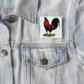 Amerikaans spel BB Zwarte Rode Haan Vierkante Button 5,1 Cm (In situ)