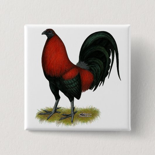 Amerikaans spel BB Zwarte Rode Haan Vierkante Button 5,1 Cm (Voorkant)