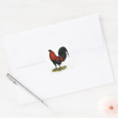Amerikaans spel BB Zwarte Rode Haan Vierkante Sticker (Envelop)