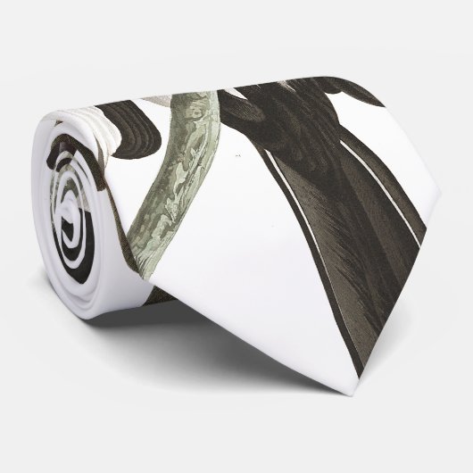 Amerikaans Stropdas van Magpie Birds Audubon Wildl (Opgerold)