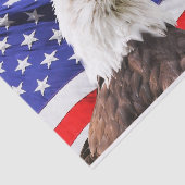 amerikaans tissuepapier voor onafhankelijkheid (Detail)