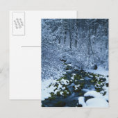 Amerikaans, Utah, nationaal wasatch-Catch bos, Briefkaart (Voorkant / Achterkant)