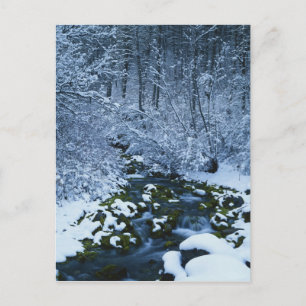 Amerikaans, Utah, nationaal wasatch-Catch bos, Briefkaart