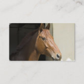 Amerikaans Visitekaartje voor kwartpaarden (Achterkant)
