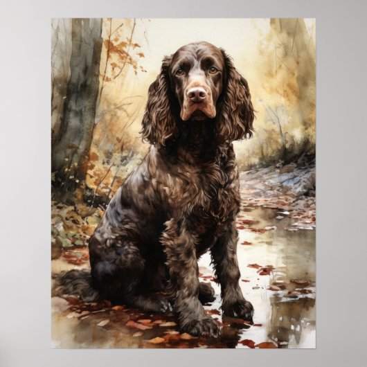 Amerikaans Water Spaniel Dog Art Print Poster (Voorkant)