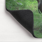 Amerikaans Wild Turkije Muismat (Hoek)