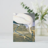  Amerikaans winkeltje van John James Audubon Briefkaart (Staand voorkant)