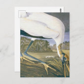  Amerikaans winkeltje van John James Audubon Briefkaart (Voorkant / Achterkant)