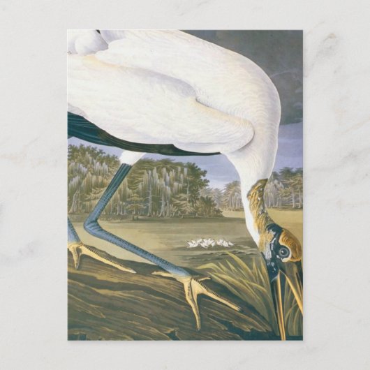  Amerikaans winkeltje van John James Audubon Briefkaart (Voorkant)