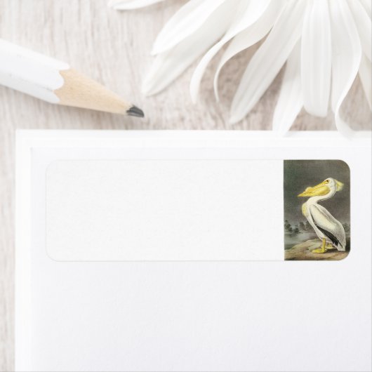 Amerikaans-witte pelikaan door Audubon Etiket (Insitu)