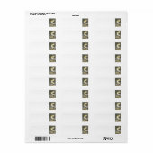 Amerikaans-witte pelikaan door Audubon Etiket (Full Sheet)