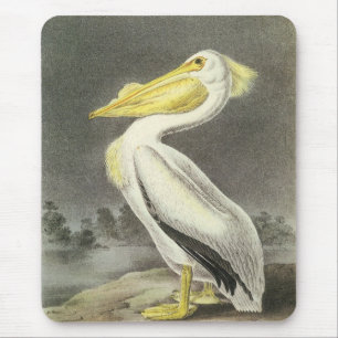 Amerikaans-witte pelikaan door Audubon Muismat
