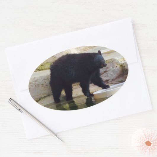 Amerikaans zwart Beer #1-2 Sticker (Envelop)