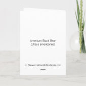 Amerikaans zwart Beer dat een boom beklimt Kaart (Achterkant)