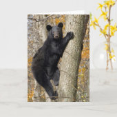 Amerikaans zwart Beer dat een boom beklimt Kaart (Gele Bloem)