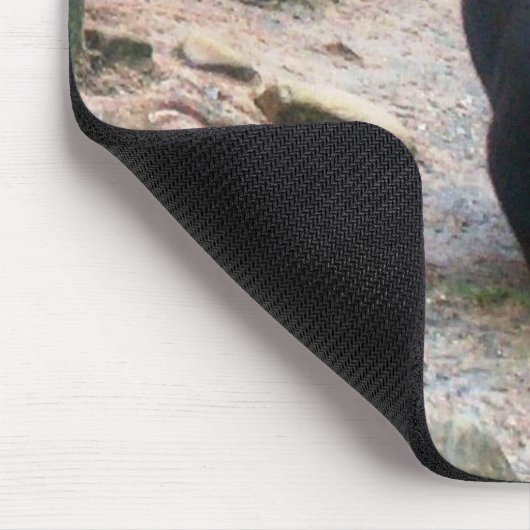 Amerikaans zwart Beer Muismat (Hoek)