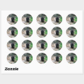 Amerikaans zwart Beer Ronde Sticker (Vel)