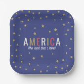 Amerikaanse 4 juli decoratie papieren bordje (Voorkant)