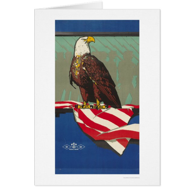 Amerikaanse adelaar (Voorkant)