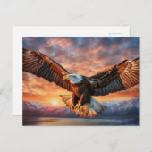 Amerikaanse adelaar briefkaart (Voorkant / Achterkant)