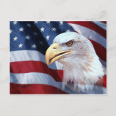 Amerikaanse adelaar briefkaart (Voorkant)