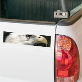 Amerikaanse adelaar bumpersticker (Op Truck)