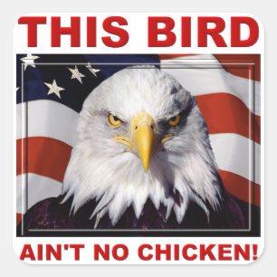 Amerikaanse Adelaar Is Geen Kip Sticker Stickers