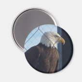 Amerikaanse Adelaar Koelkastmagneet Magneet (Voorkant / Achterkant)