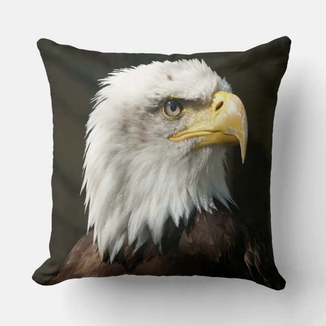 Amerikaanse adelaar kussen (Voorkant)
