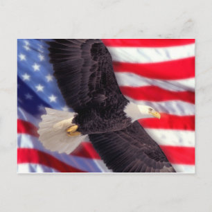 Amerikaanse adelaar met Amerikaanse vlag Briefkaar Briefkaart