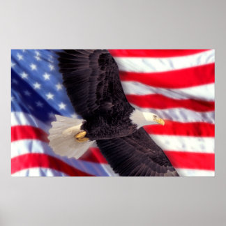 Amerikaanse adelaar met Amerikaanse vlag Poster
