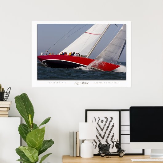 Amerikaanse adelaar poster (Thuiskantoor)