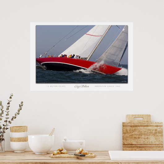 Amerikaanse adelaar poster (Keuken)