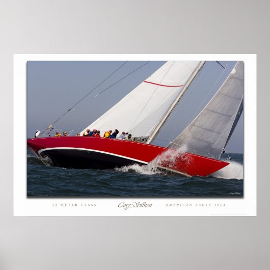 Amerikaanse adelaar poster (Voorkant)