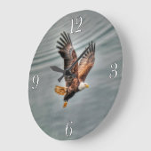 Amerikaanse adelaar vliegt over zee grote klok (Hoek)