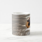 Amerikaanse adelaar vliegt over zee koffiemok (Center)