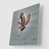 Amerikaanse adelaar vliegt over zee vierkante klok (Hoek)